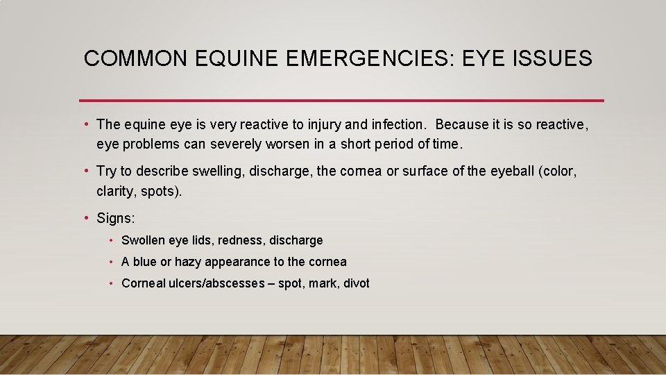 COMMON EQUINE EMERGENCIES: EYE ISSUES • The equine eye is very reactive to injury