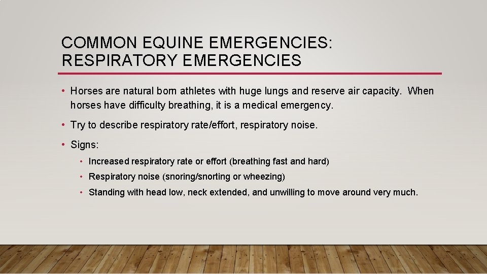 COMMON EQUINE EMERGENCIES: RESPIRATORY EMERGENCIES • Horses are natural born athletes with huge lungs