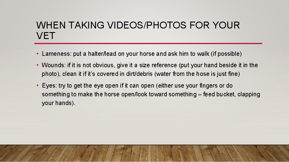 WHEN TAKING VIDEOS/PHOTOS FOR YOUR VET • Lameness: put a halter/lead on your horse
