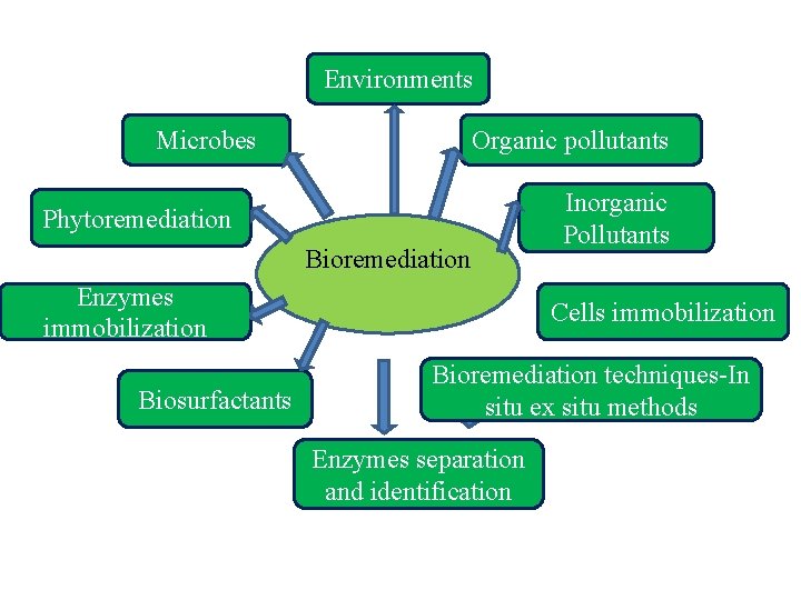 Environments Microbes Organic pollutants Phytoremediation Bioremediation Enzymes immobilization Biosurfactants Inorganic Pollutants Cells immobilization Bioremediation
