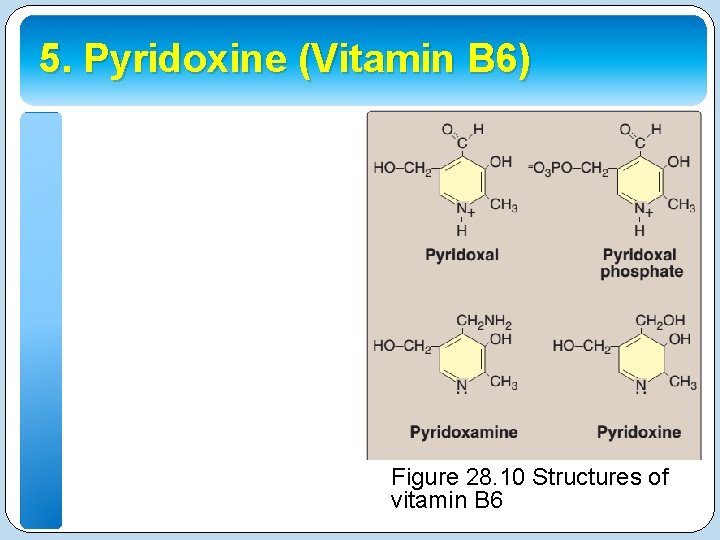 5. Pyridoxine (Vitamin B 6) Figure 28. 10 Structures of vitamin B 6 