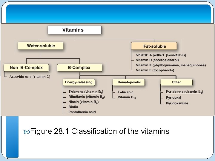  Figure 28. 1 Classification of the vitamins 