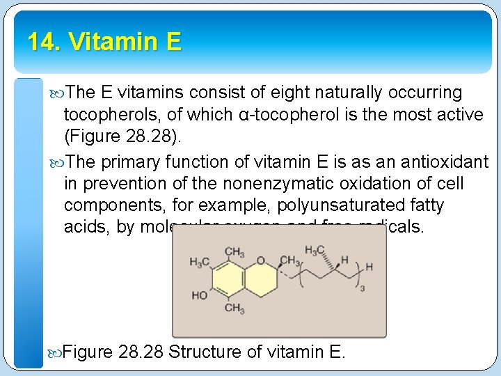 14. Vitamin E The E vitamins consist of eight naturally occurring tocopherols, of which