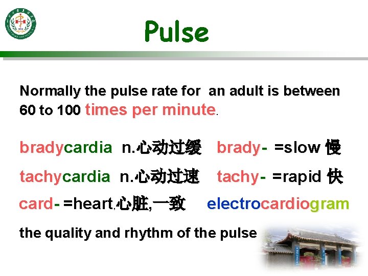 Pulse Normally the pulse rate for an adult is between 60 to 100 times