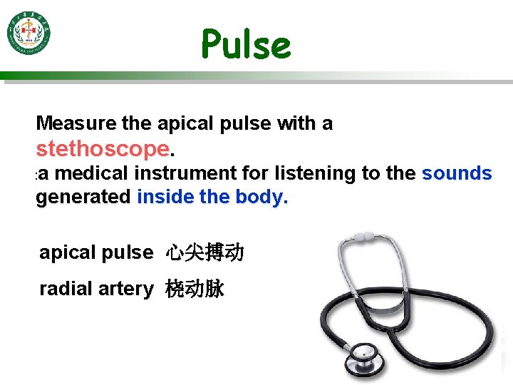 Pulse Measure the apical pulse with a stethoscope. : a medical instrument for listening