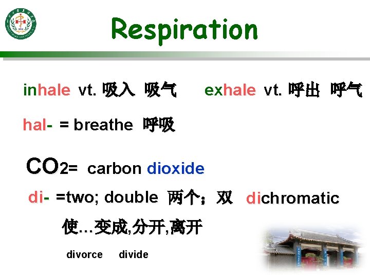 Respiration inhale vt. 吸入 吸气 exhale vt. 呼出 呼气 hal- = breathe 呼吸 CO