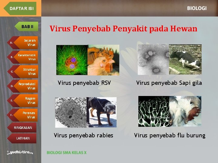 DAFTAR ISI BAB II A. Sejarah Virus B. Karakteristik Virus C. Struktur Virus D.