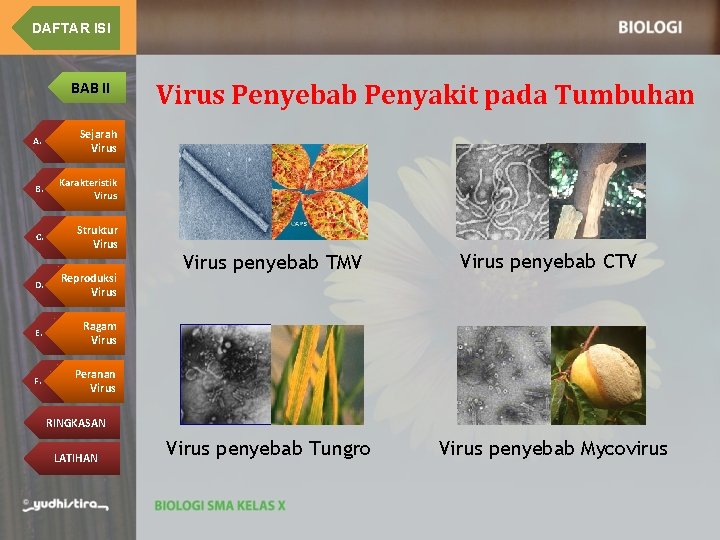 DAFTAR ISI BAB II A. Sejarah Virus B. Karakteristik Virus C. Struktur Virus D.