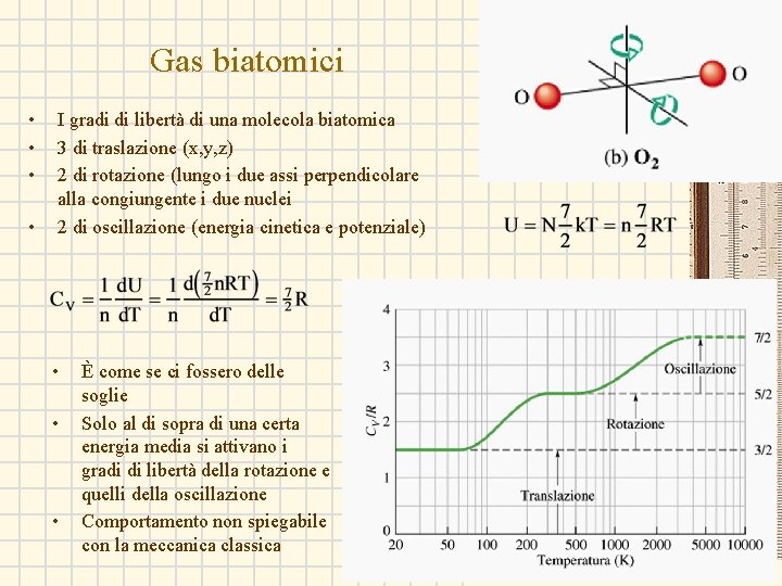 Gas biatomici • • I gradi di libertà di una molecola biatomica 3 di