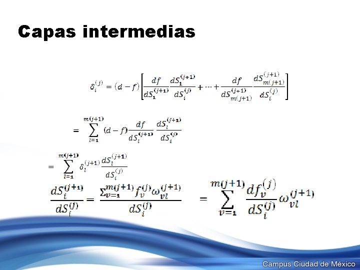 Capas intermedias 