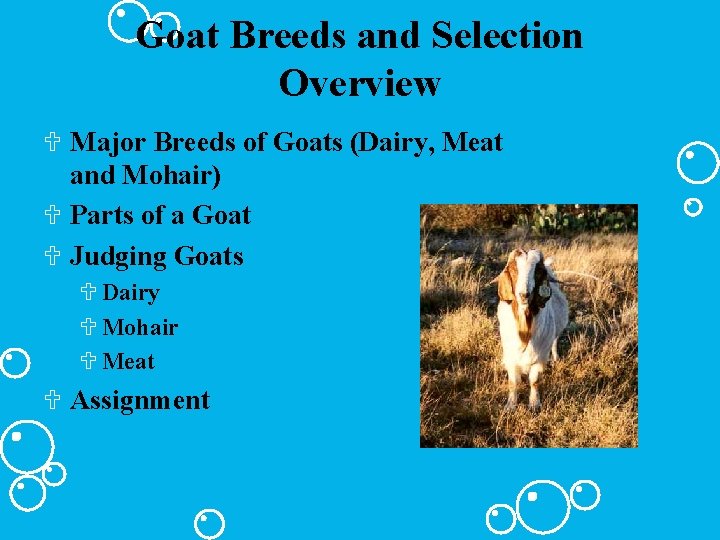 Goat Breeds and Selection Overview U Major Breeds of Goats (Dairy, Meat and Mohair)