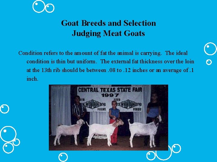 Goat Breeds and Selection Judging Meat Goats Condition refers to the amount of fat