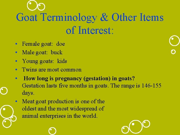 Goat Terminology & Other Items of Interest: • • • Female goat: doe Male