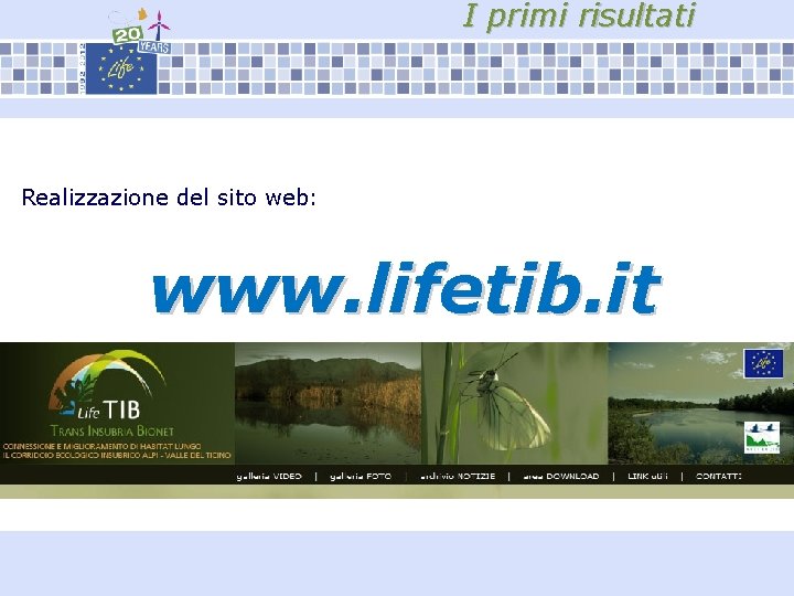 I primi risultati Realizzazione del sito web: www. lifetib. it 