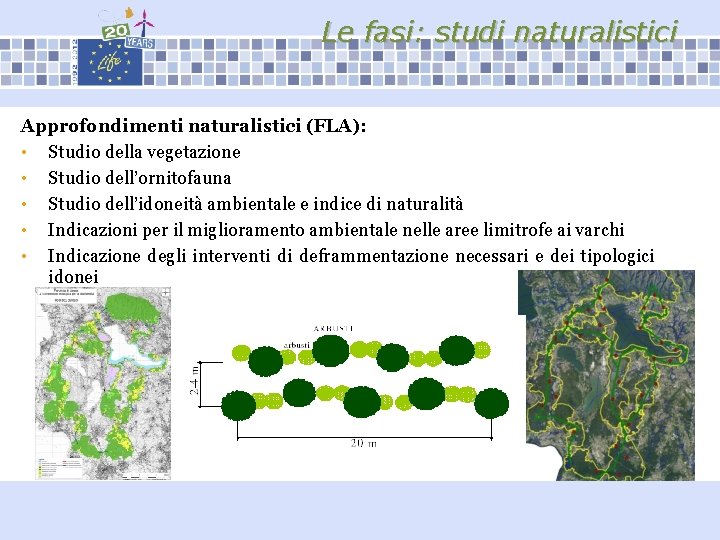 Le fasi: studi naturalistici Approfondimenti naturalistici (FLA): • Studio della vegetazione • Studio dell’ornitofauna