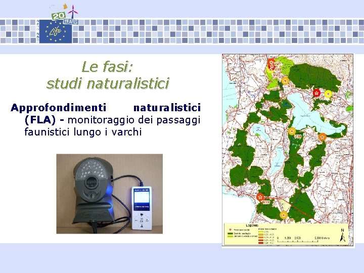 Le fasi: studi naturalistici Approfondimenti naturalistici (FLA) - monitoraggio dei passaggi faunistici lungo i