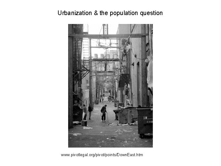 Urbanization & the population question www. pivotlegal. org/pivot/points/Down. East. htm 