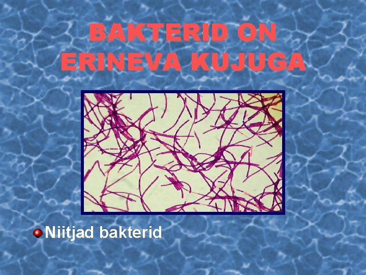 BAKTERID ON ERINEVA KUJUGA Niitjad bakterid 