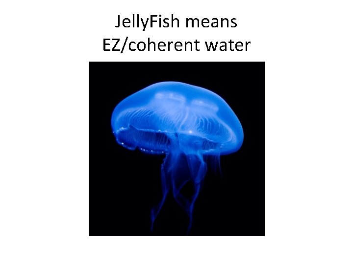 Jelly. Fish means EZ/coherent water 