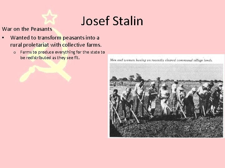 Josef Stalin War on the Peasants • Wanted to transform peasants into a rural