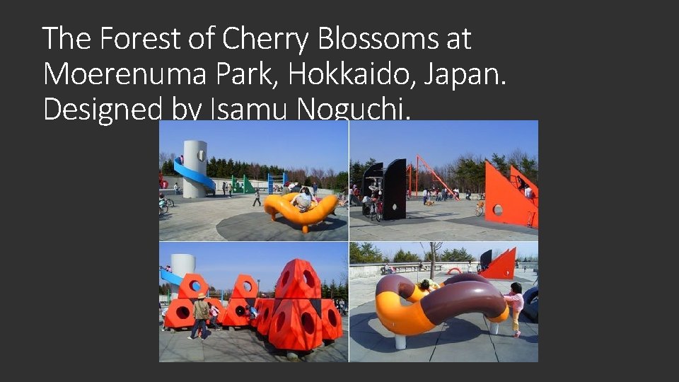 The Forest of Cherry Blossoms at Moerenuma Park, Hokkaido, Japan. Designed by Isamu Noguchi.