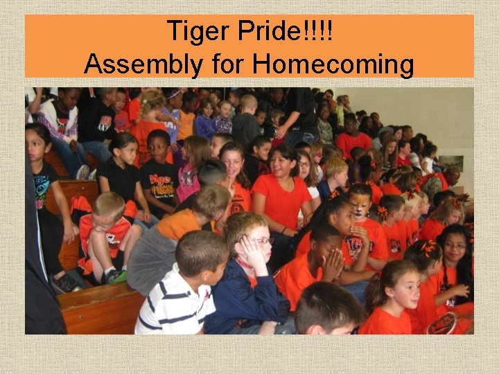 Tiger Pride!!!! Assembly for Homecoming 