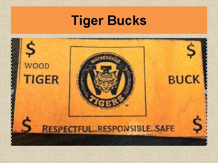 Tiger Bucks 