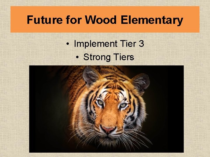 Future for Wood Elementary • Implement Tier 3 • Strong Tiers 