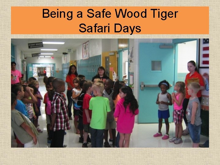 Being a Safe Wood Tiger Safari Days 