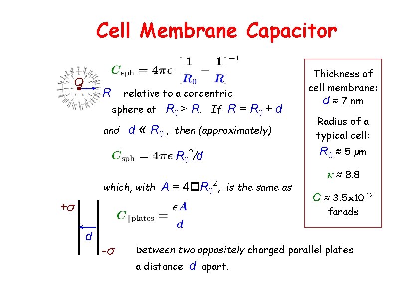 Cell Membrane Capacitor Q relative to a concentric R sphere at and R 0