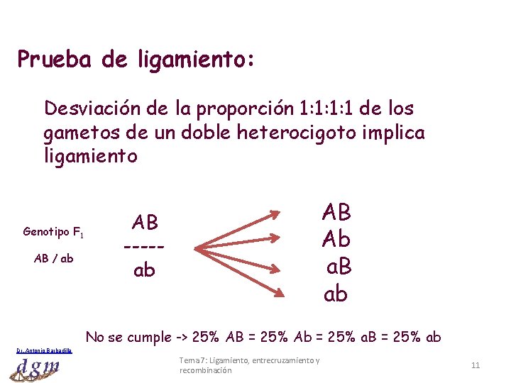 Prueba de ligamiento: Desviación de la proporción 1: 1: 1: 1 de los gametos