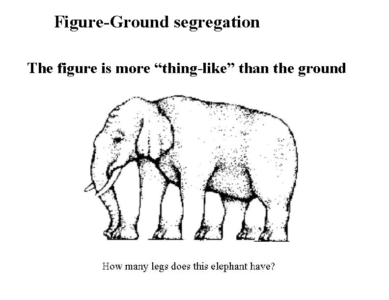Figure-Ground segregation The figure is more “thing-like” than the ground 