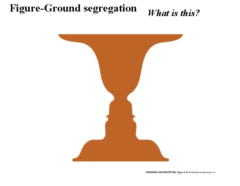 Figure-Ground segregation What is this? 
