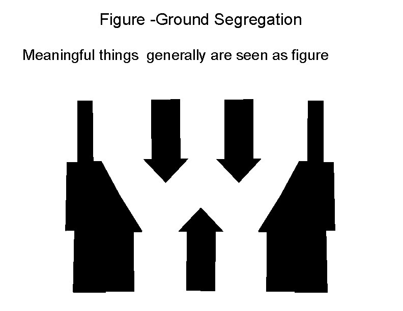 Figure -Ground Segregation Meaningful things generally are seen as figure 