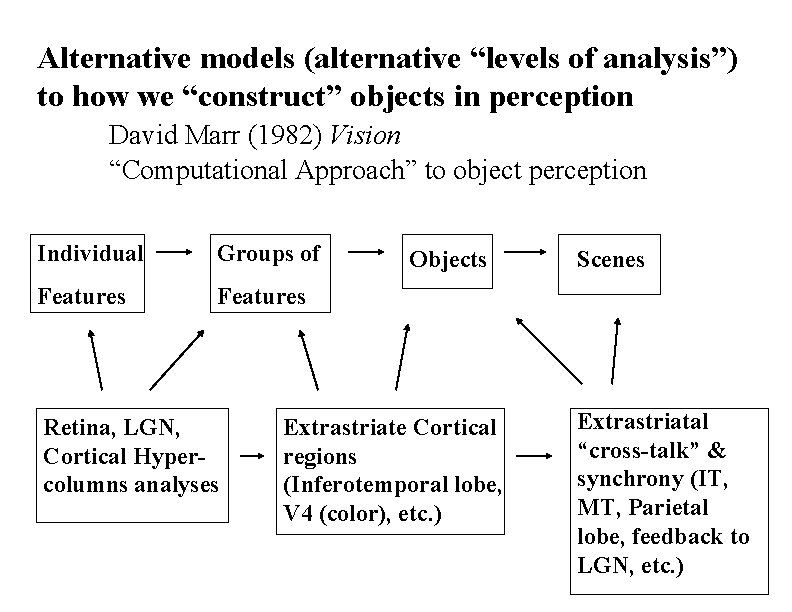 Alternative models (alternative “levels of analysis”) to how we “construct” objects in perception David