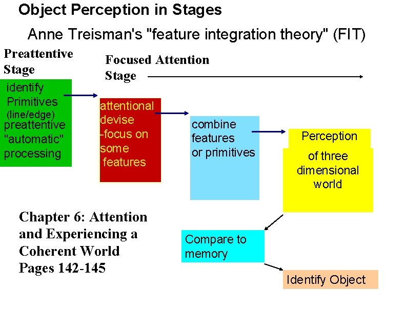 Object Perception in Stages Anne Treisman's "feature integration theory" (FIT) Preattentive Stage identify Primitives