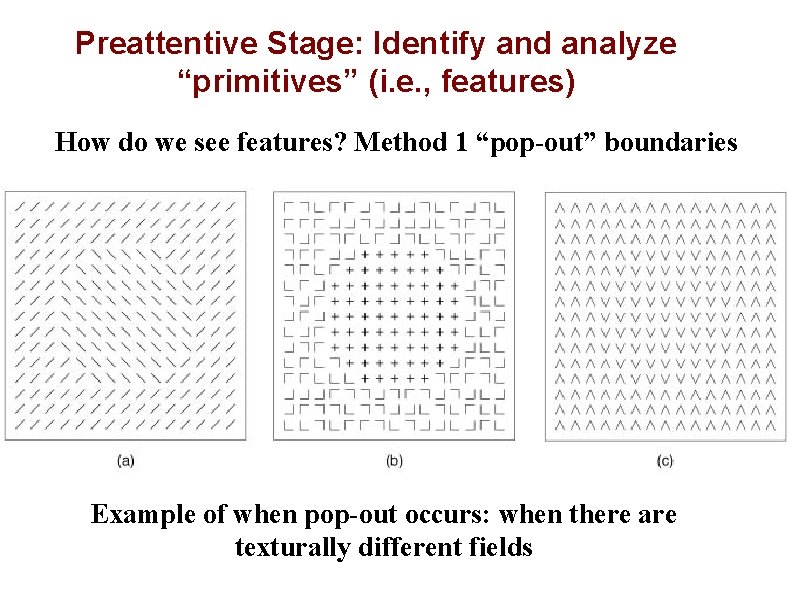 Preattentive Stage: Identify and analyze “primitives” (i. e. , features) How do we see