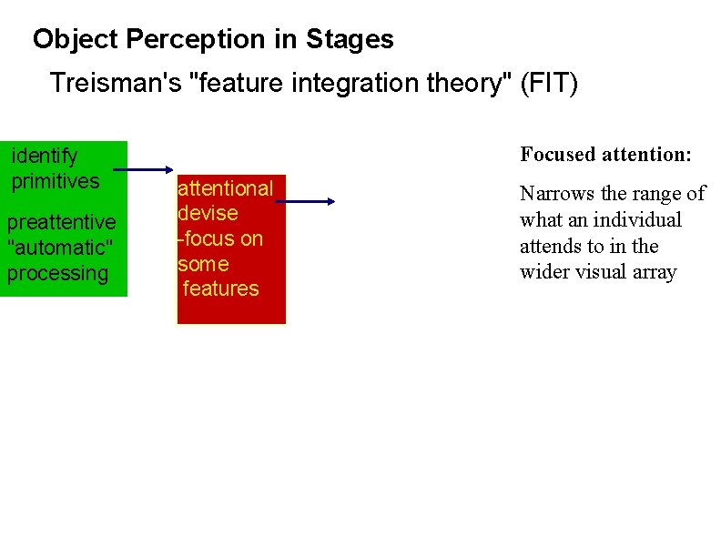 Object Perception in Stages Treisman's "feature integration theory" (FIT) identify primitives preattentive "automatic" processing