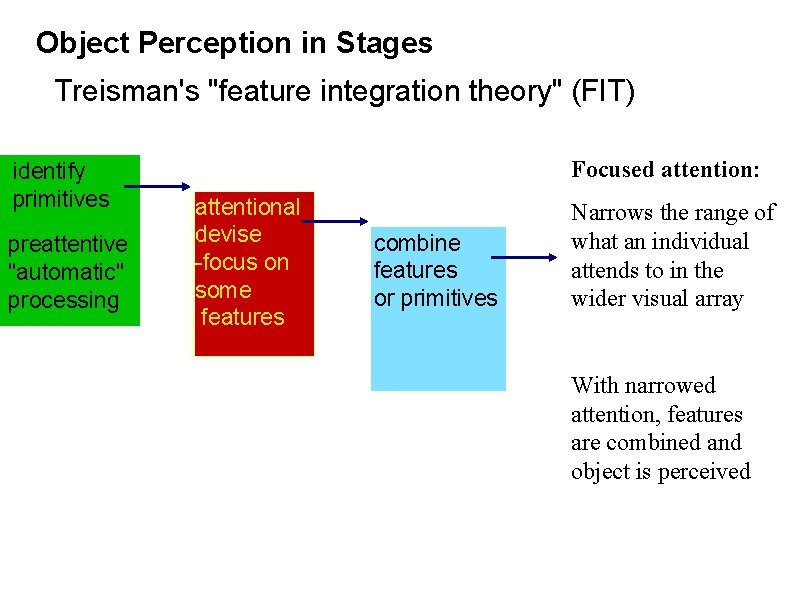 Object Perception in Stages Treisman's "feature integration theory" (FIT) identify primitives preattentive "automatic" processing