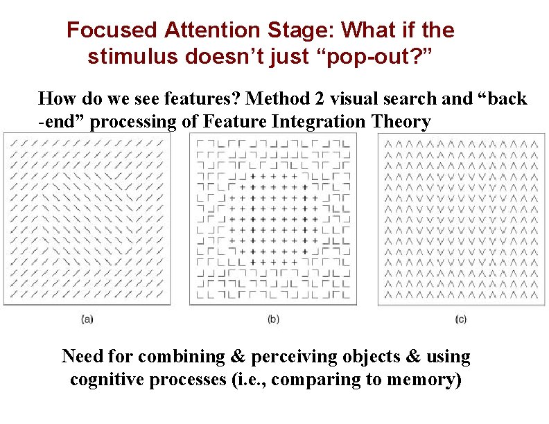 Focused Attention Stage: What if the stimulus doesn’t just “pop-out? ” How do we
