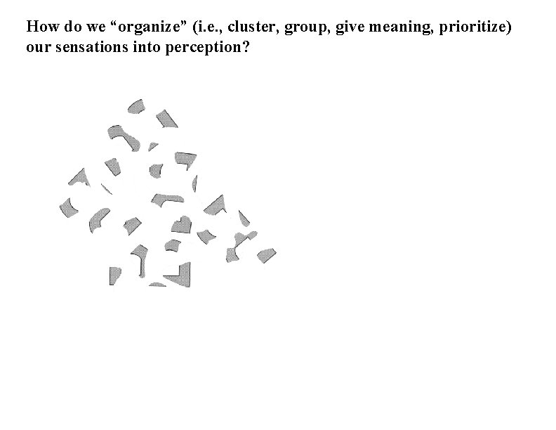 How do we “organize” (i. e. , cluster, group, give meaning, prioritize) our sensations