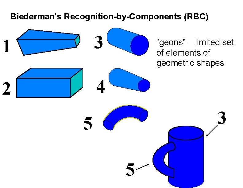 Biederman's Recognition-by-Components (RBC) 1 3 2 4 “geons” – limited set of elements of