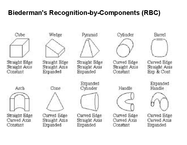 Biederman's Recognition-by-Components (RBC) 