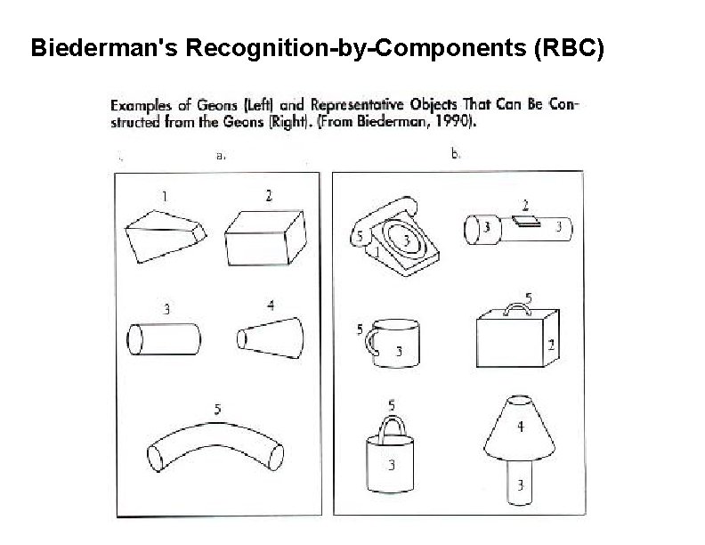 Biederman's Recognition-by-Components (RBC) 