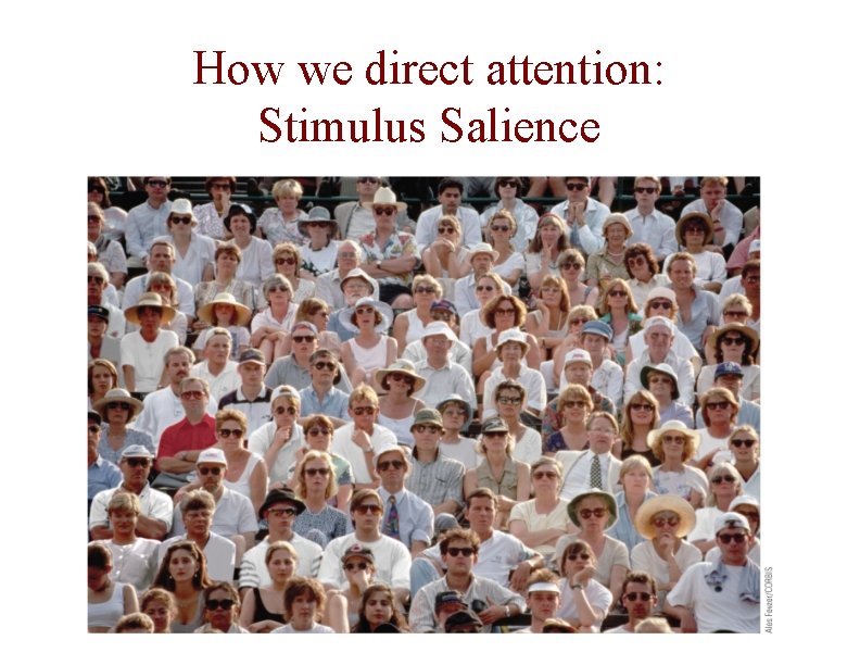 How we direct attention: Stimulus Salience 