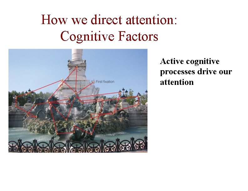 How we direct attention: Cognitive Factors Active cognitive processes drive our attention 
