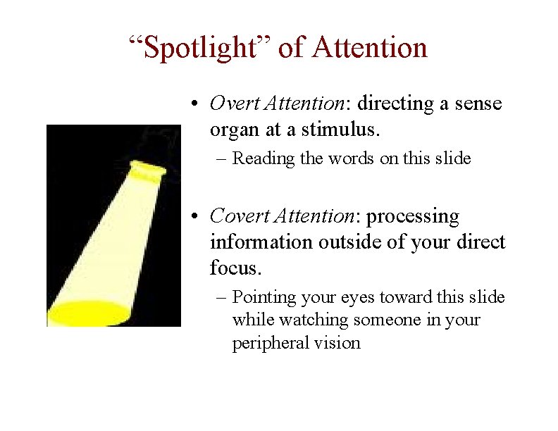“Spotlight” of Attention • Overt Attention: directing a sense organ at a stimulus. –