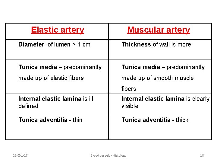 Elastic artery Muscular artery Diameter of lumen > 1 cm Thickness of wall is