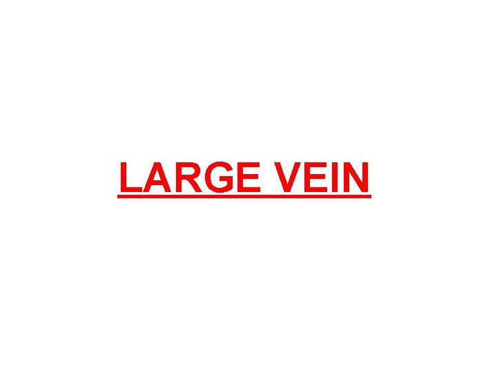 LARGE VEIN 