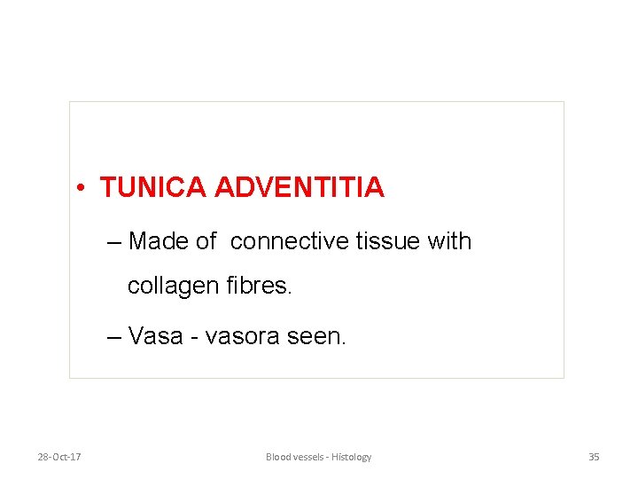  • TUNICA ADVENTITIA – Made of connective tissue with collagen fibres. – Vasa